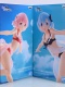 Re:Zero Celestial vivi Rem