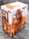 One Piece Grandline Journey Portgas D. Ace