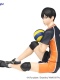 Haikyuu! Noodle Stopper Tobio Kageyama
