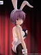The Melancholy of Haruhi Suzumiya BiCute Yuki Nagato